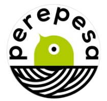 Lühiharjutuste kursus Türi Perepesas | 14.03 & 28.03.2026